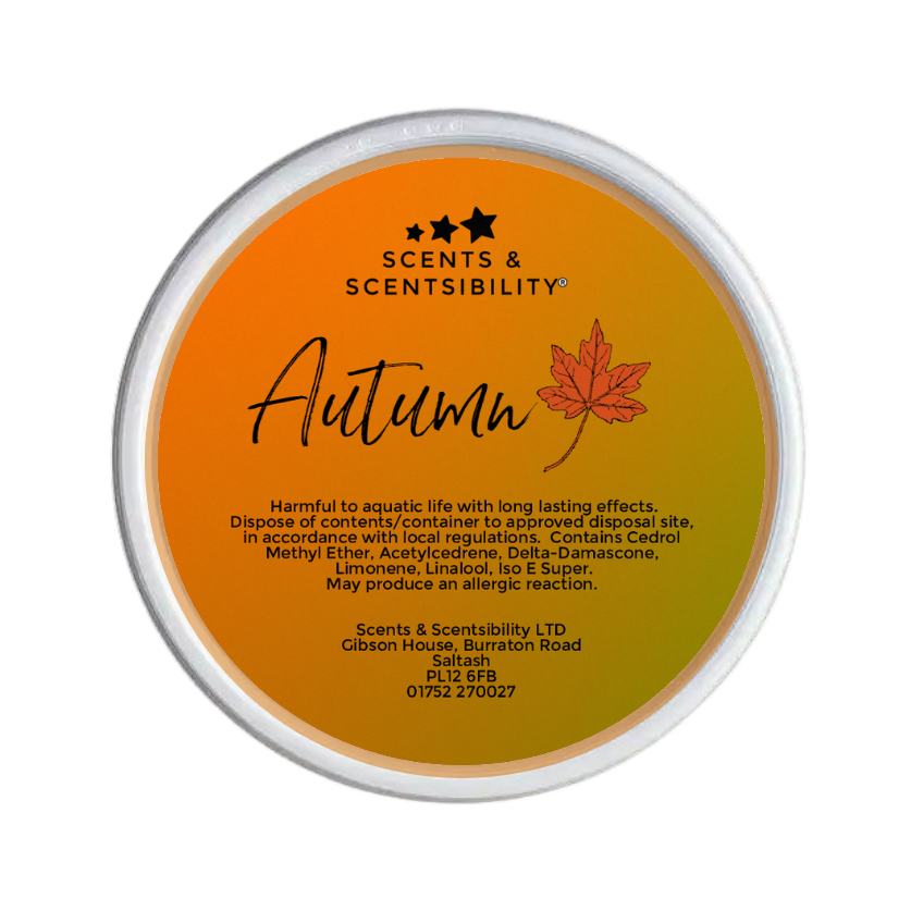 Autumn Segment Pot Wax Melt