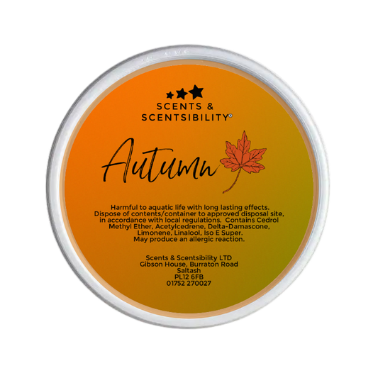 Autumn Segment Pot Wax Melt