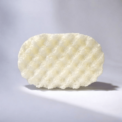 Dove Soap Sponge