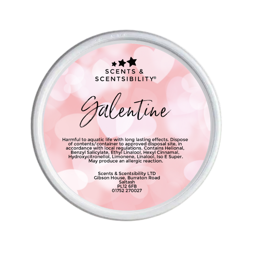 Galentine Segment Pot Wax Melt