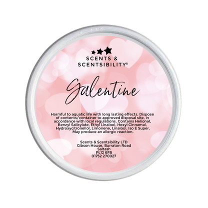 Galentine Segment Pot Wax Melt