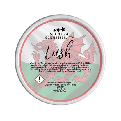 Lush Segment Pot Wax Melt