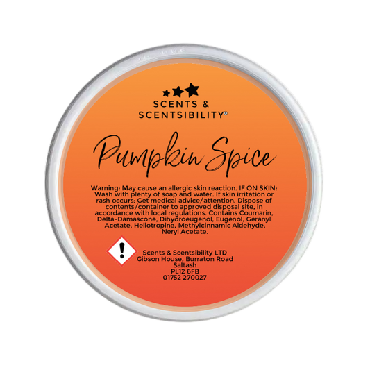 Pumpkin Spice Segment Pot Wax Melt