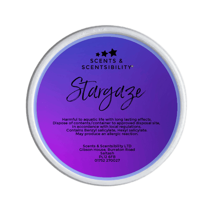 Stargaze Segment Pot Wax Melt