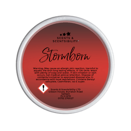 Stormborn Segment Pot Wax Melt