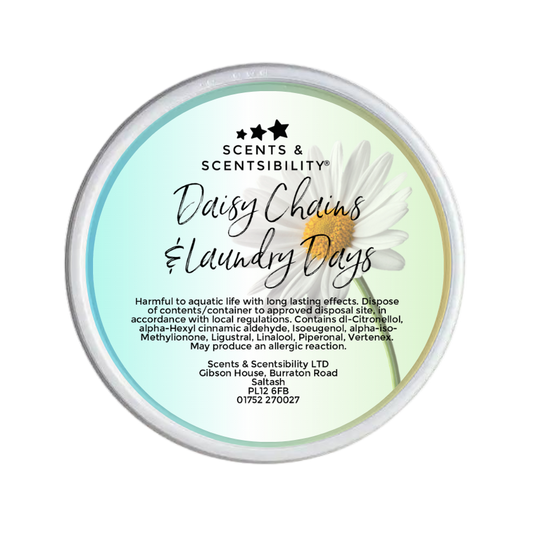Daisy Chains & Laundry Days Signature Segment Pot Wax Melt 